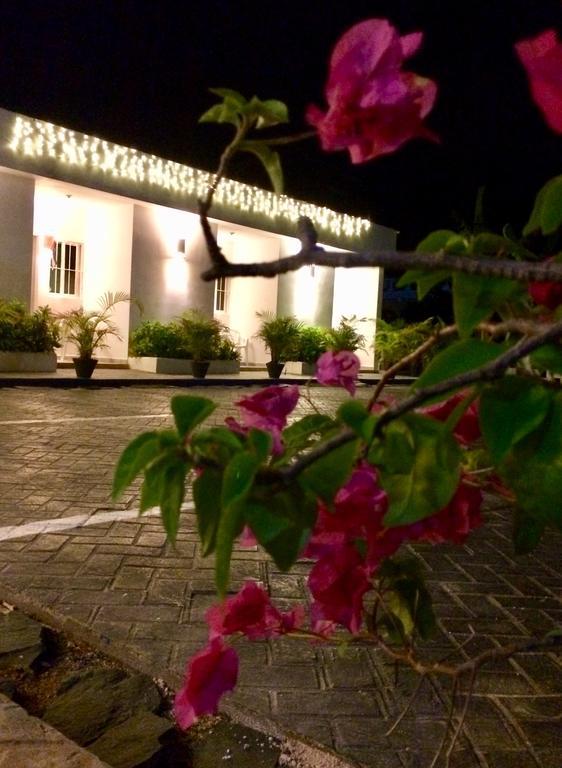 Albergo El Pulpo, Bayahíbe Exterior foto